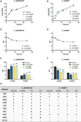 Red ginseng dietary fiber promotes probiotic properties of Lactiplantibacillus plantarum and alters bacterial metabolism